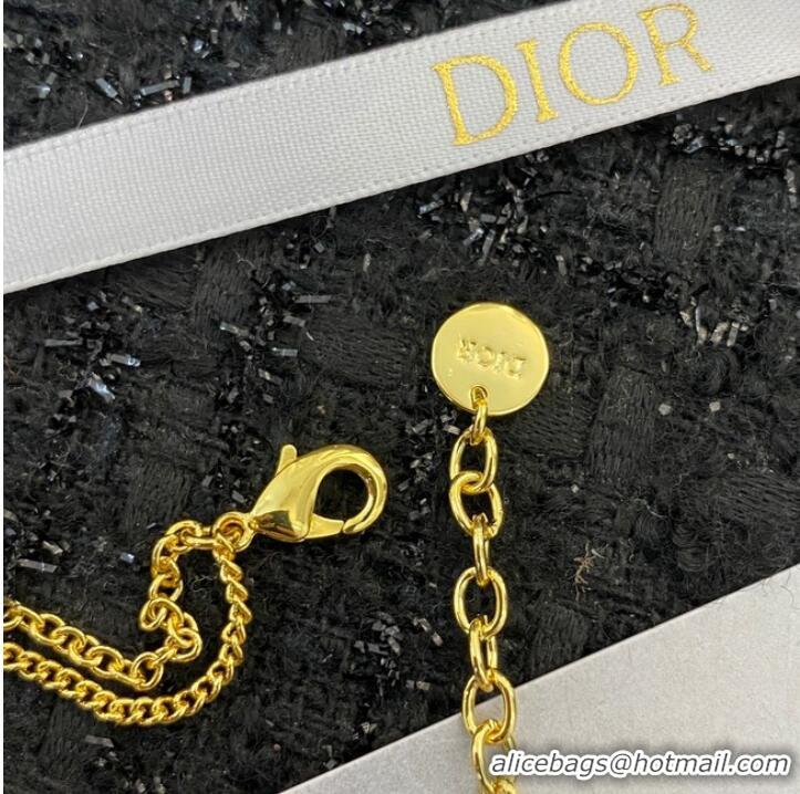 Top Quality Classic Dior Necklace CE10217