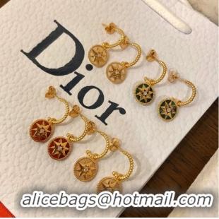 Spot Bulk Dior Earrings CE10248