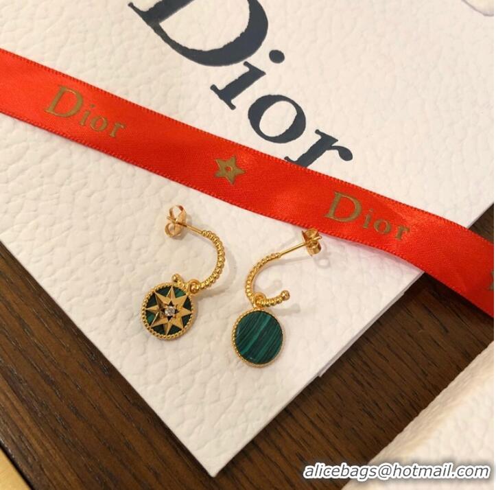 Spot Bulk Dior Earrings CE10248