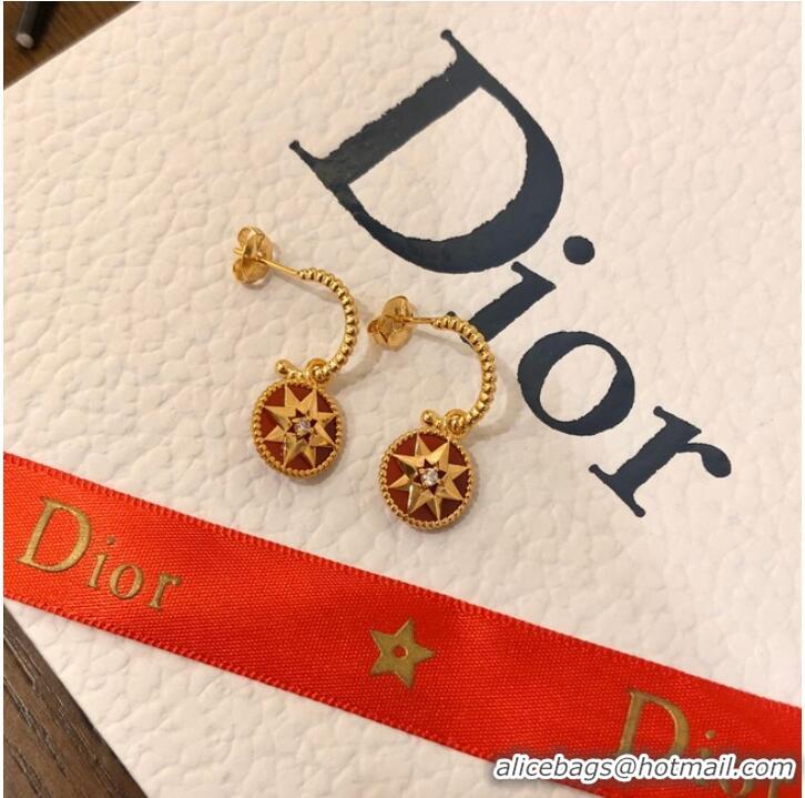 Spot Bulk Dior Earrings CE10248