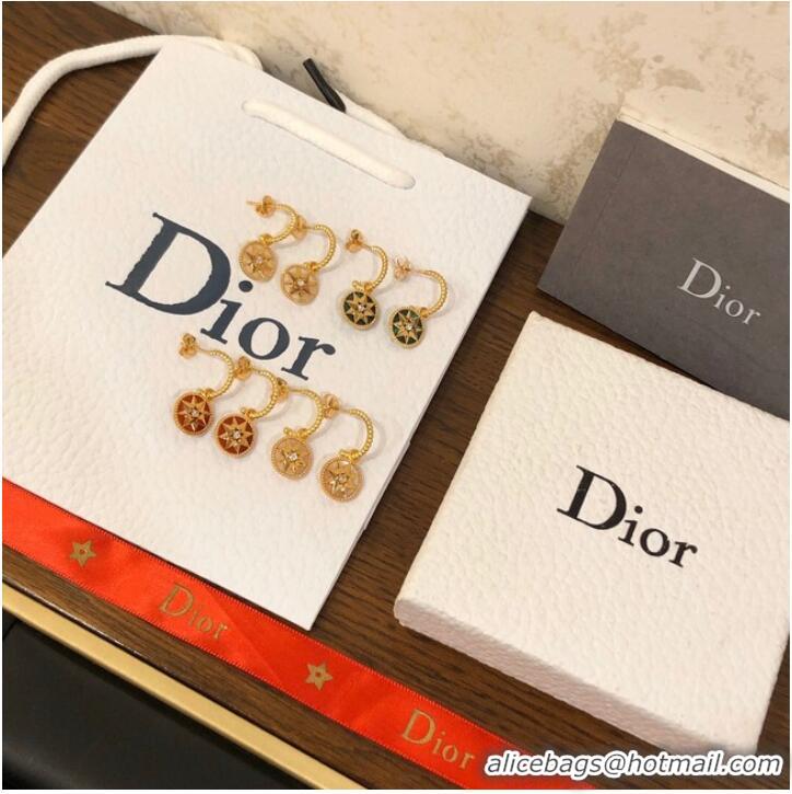 Spot Bulk Dior Earrings CE10248