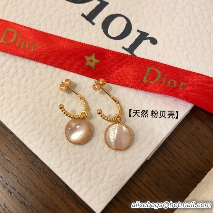 Spot Bulk Dior Earrings CE10248