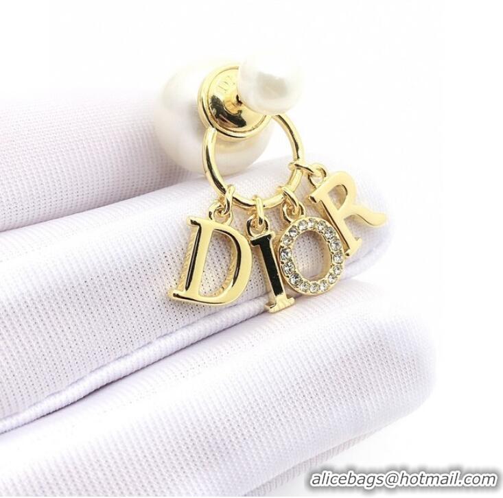 Low Cost Designer Dior Earrings CE10290