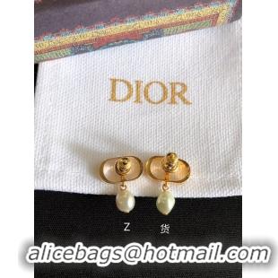 Cheap Price Dior Earrings CE9636