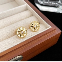 Reasonable Price Dior Earrings CE9913