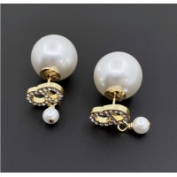 Inexpensive Discount Dior Earrings CE9919