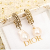 Grade Quality Dior Earrings CE9955