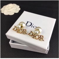 Good Taste Dior Earrings CE9966