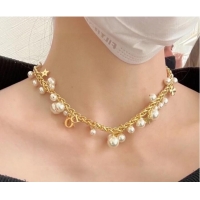 Buy Fashionable Dior Necklace CE10001