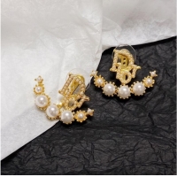 Top Design Dior Earrings CE10122