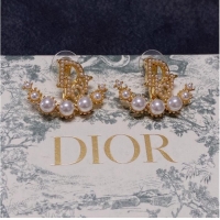 Good Quality Dior Earrings CE10147