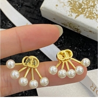 Buy Classic Dior Earrings CE10205