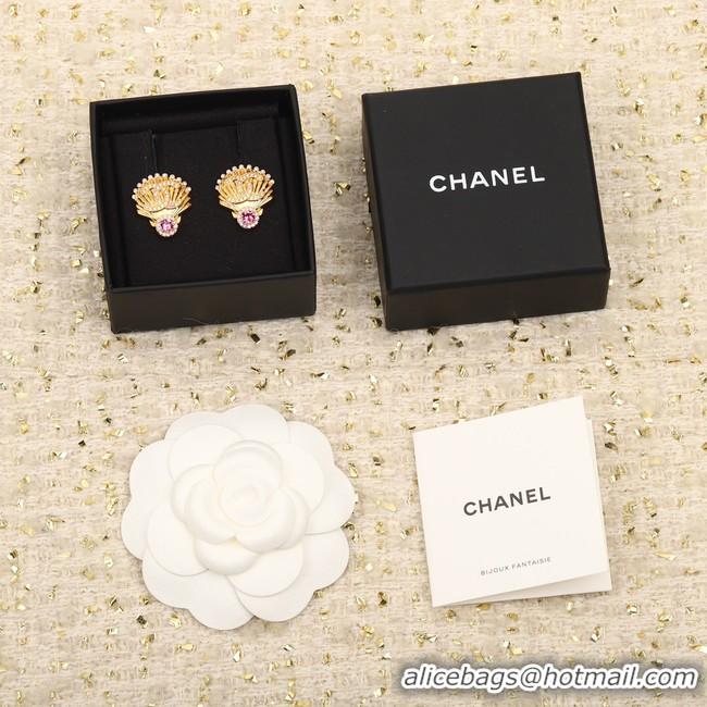 Classic Hot Chanel Earrings CE9954