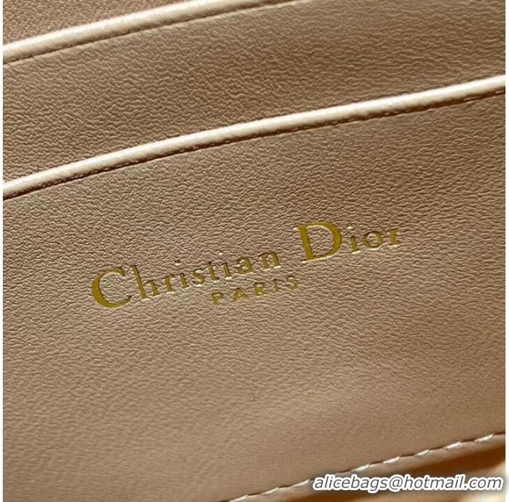 Luxury Cheap LADY DIOR CHAIN POUCH Cannage Lambskin S0937O Brown