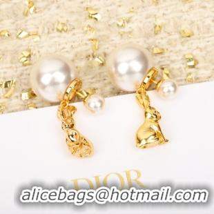 Top Grade Dior Earrings CE10428