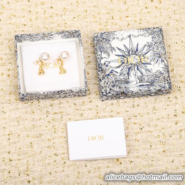 Top Grade Dior Earrings CE10428