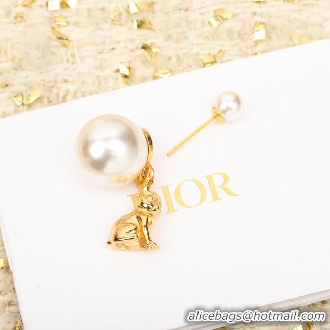 Top Grade Dior Earrings CE10428