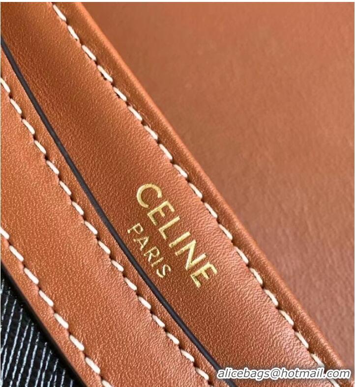 Classic Specials Celine TEEN BESACE TRIOMPHE IN TRIOMPHE CANVAS AND CALFSKIN 110962 TAN