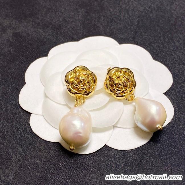 Durable Chanel Earrings CE10558