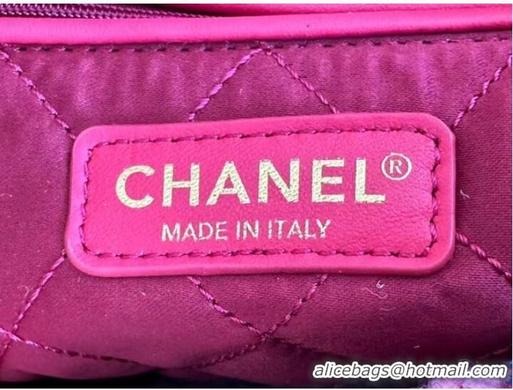 Classic Specials CHANEL 22 HANDBAG AS3260 pink