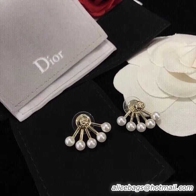 Luxury Dior Earrings CE10651