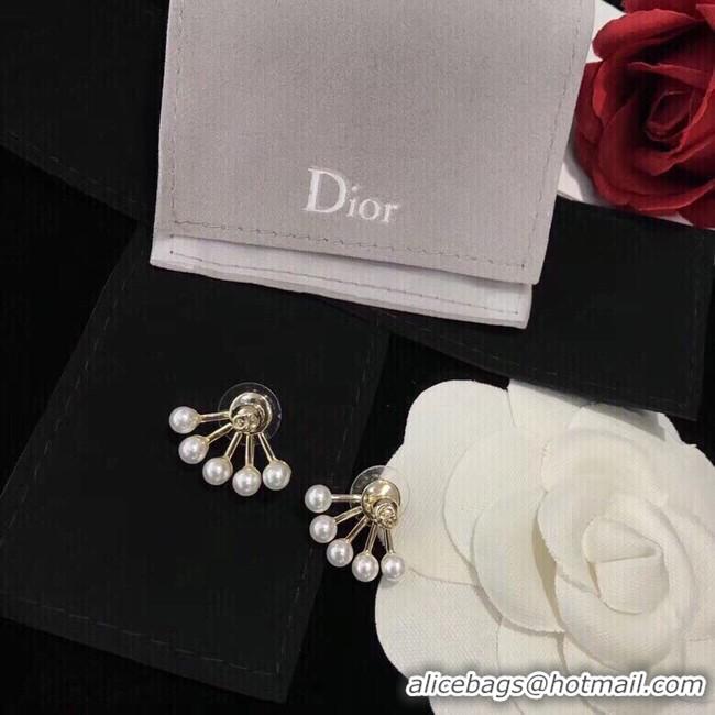 Luxury Dior Earrings CE10651