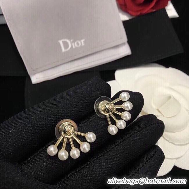 Luxury Dior Earrings CE10651