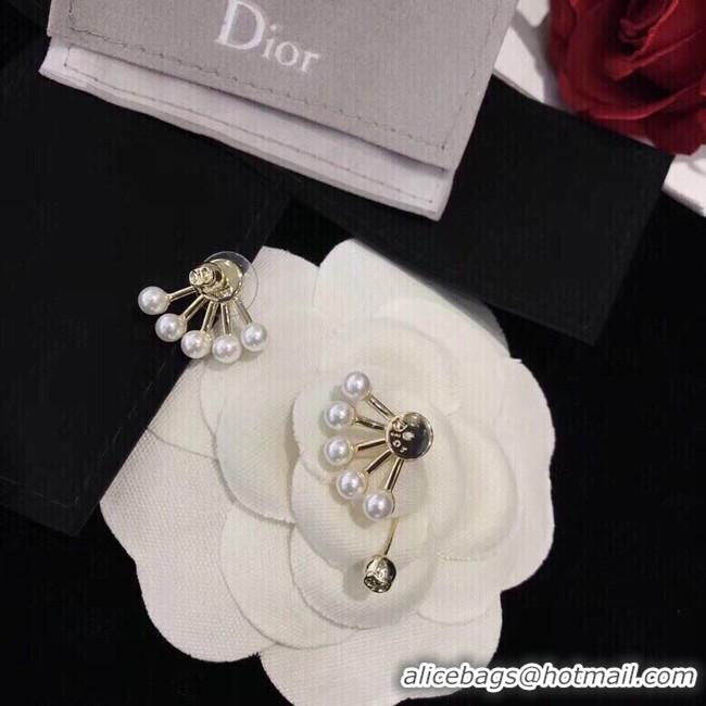 Luxury Dior Earrings CE10651