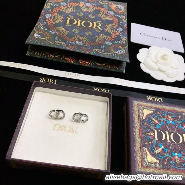 Discount Dior Earrings CE10655