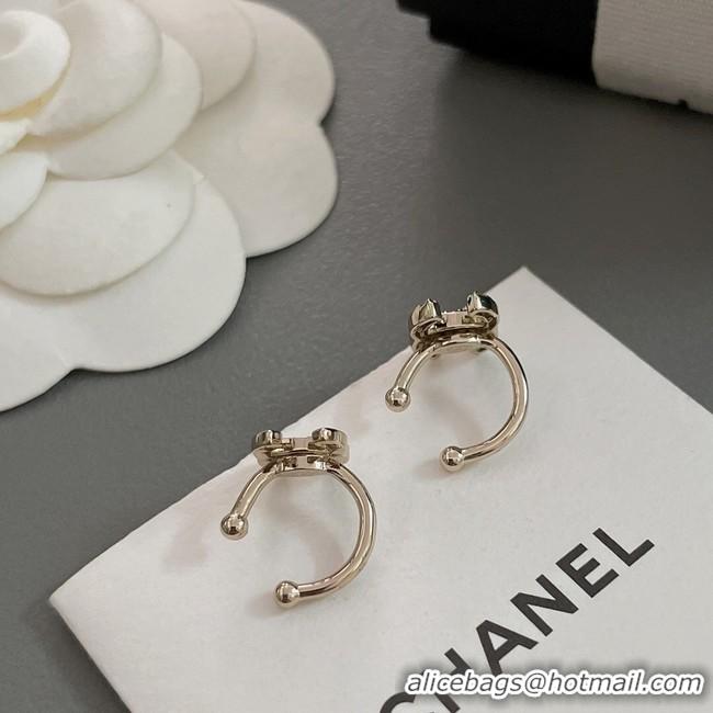 Classic Hot Chanel Earrings CE10694