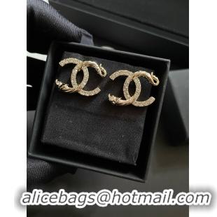 Hot Style Chanel Earrings CE10716