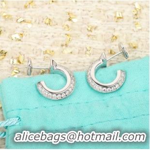 Elegant Design TIFFANY Earrings CE10101 Silver