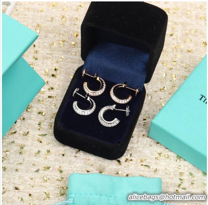 Elegant Design TIFFANY Earrings CE10101 Silver