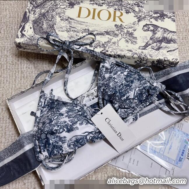 Famous Brand Dior Swimwear 0214 Blue 2023