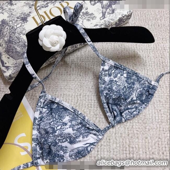 Famous Brand Dior Swimwear 0214 Blue 2023