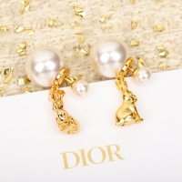 Top Grade Dior Earrings CE10428