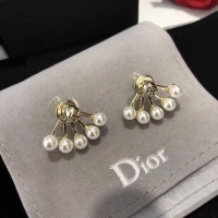 Luxury Dior Earrings CE10651