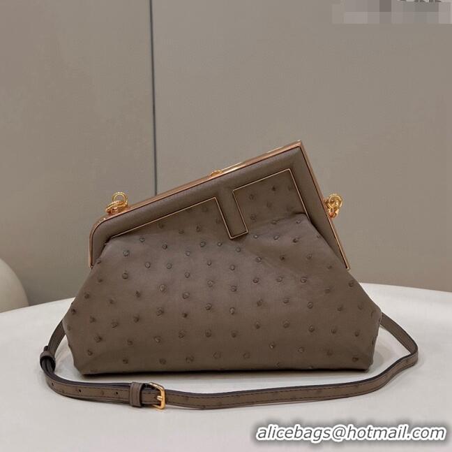 Promotional Fendi First Small Bag in Ostrich Leather Taupe 80015M 2022