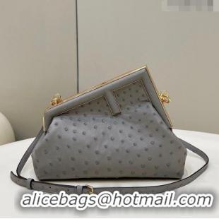 Reasonable Price Fendi First Small Bag in Ostrich Leather Grey 80015M 2022