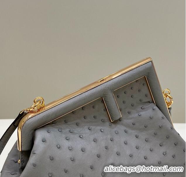 Reasonable Price Fendi First Small Bag in Ostrich Leather Grey 80015M 2022