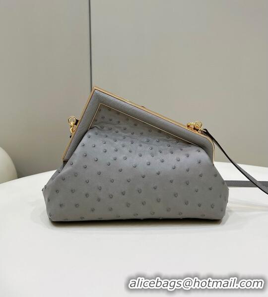 Reasonable Price Fendi First Small Bag in Ostrich Leather Grey 80015M 2022