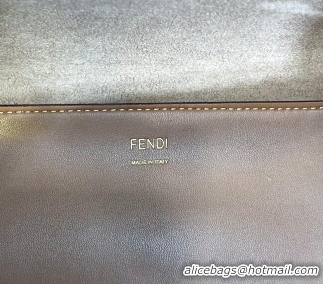 Promotional Fendi Sunshine Metallic Leather Medium Shopper Bag 8372 Silver 2023