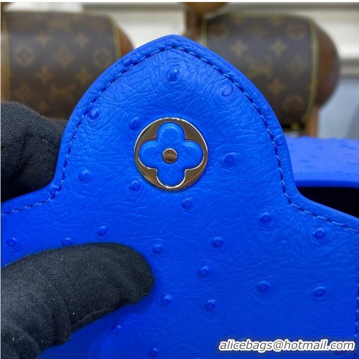 Promotional Promotion Louis Vuitton CAPUCINES MINI M93483 blue