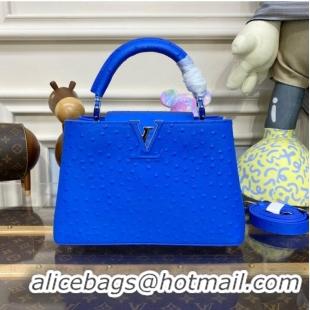 Famous Brand Louis Vuitton CAPUCINES BB M48865 blue