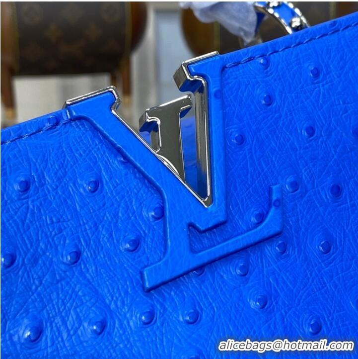 Famous Brand Louis Vuitton CAPUCINES BB M48865 blue