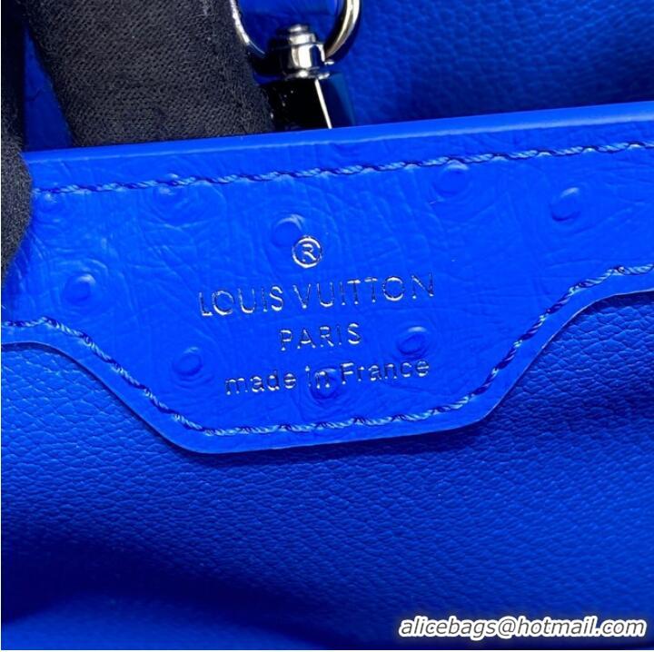 Famous Brand Louis Vuitton CAPUCINES BB M48865 blue