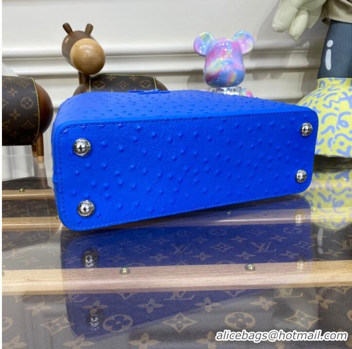 Famous Brand Louis Vuitton CAPUCINES BB M48865 blue