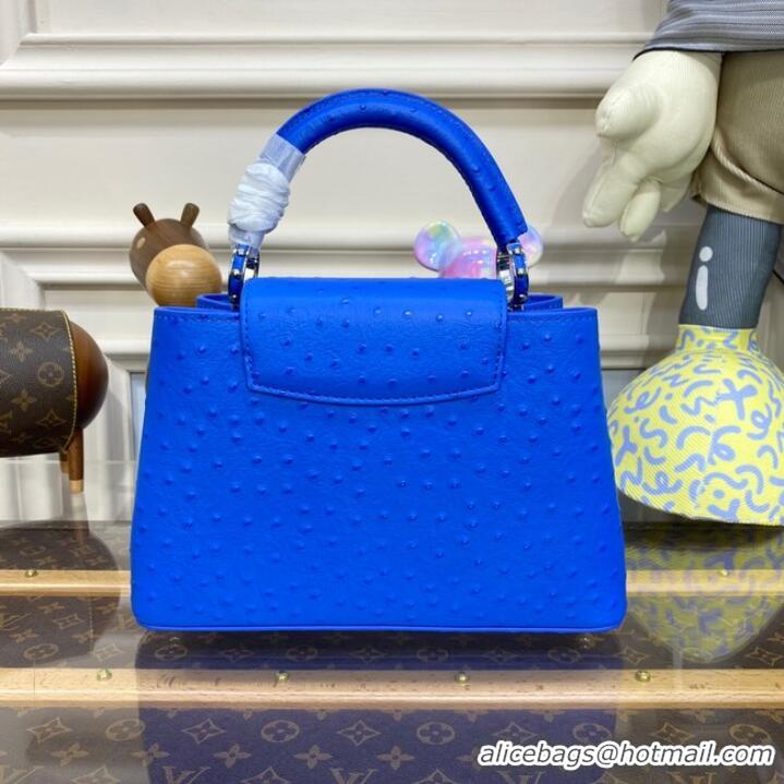 Famous Brand Louis Vuitton CAPUCINES BB M48865 blue