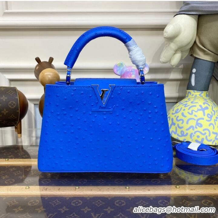 Famous Brand Louis Vuitton CAPUCINES BB M48865 blue