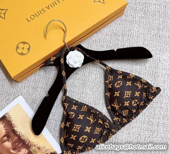 Traditional Specials Louis Vuitton Swimwear 021416 Brown 2023